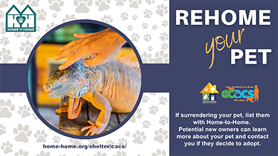 Rehome your pet. If surrendering your pet, list them with home-to-home. Potential new owners can learn more about your pet and contact you if they decide to adopt.