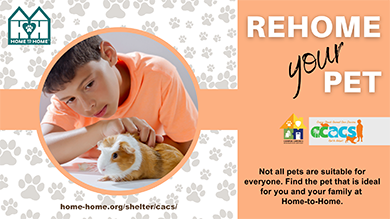Rehome your pet. Not all pets are suitable for everyone. Find the pet that is ideal for you and your family at home-to-home. 