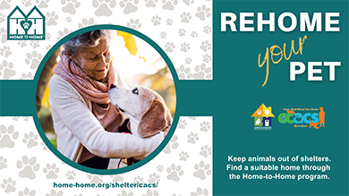 Rehome your pet. Keep animals out of shelters. Find a suitable home through the home-to-home program. 